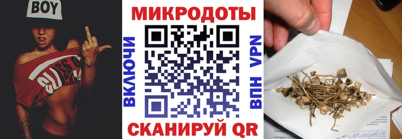 mega tor  Любань  Псилоцибиновые грибы Magic Shrooms 